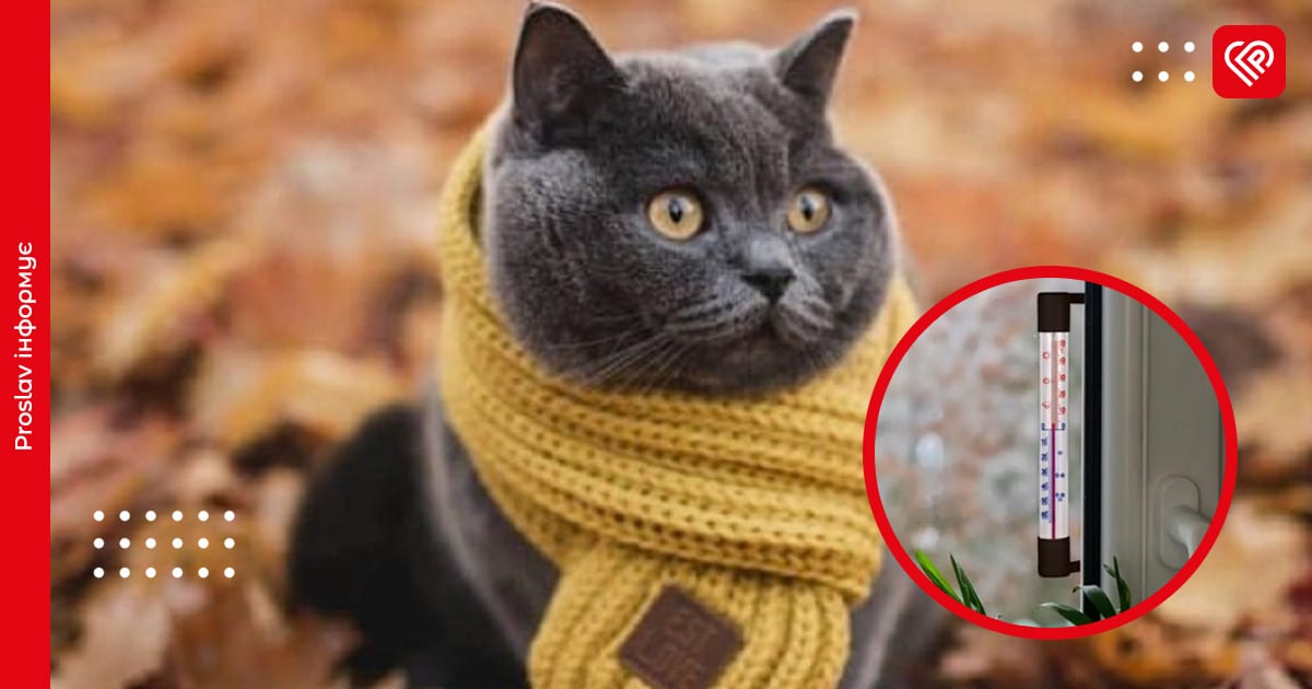 Вночі на Київщині температура опуститься до 0 градусів: у гідрометцентрі зробили прогноз погоди на 14 листопада