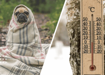 Вночі на Київщині очікується до 5 градусів морозу: прогноз погоди на 19 листопада