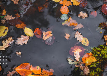 Синоптики попередили про помірні дощі на Київщині: прогноз погоди на 11 листопада