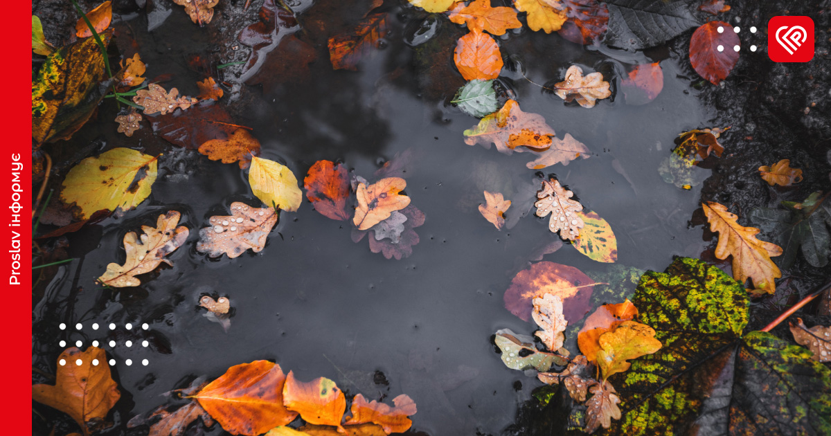 Синоптики попередили про помірні дощі на Київщині: прогноз погоди на 11 листопада