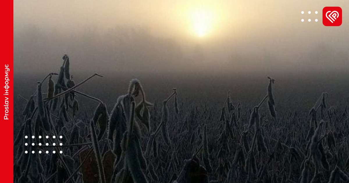 Вночі на Київщині вдарить мороз, а вдень задощить: прогноз погоди на 16 листопада