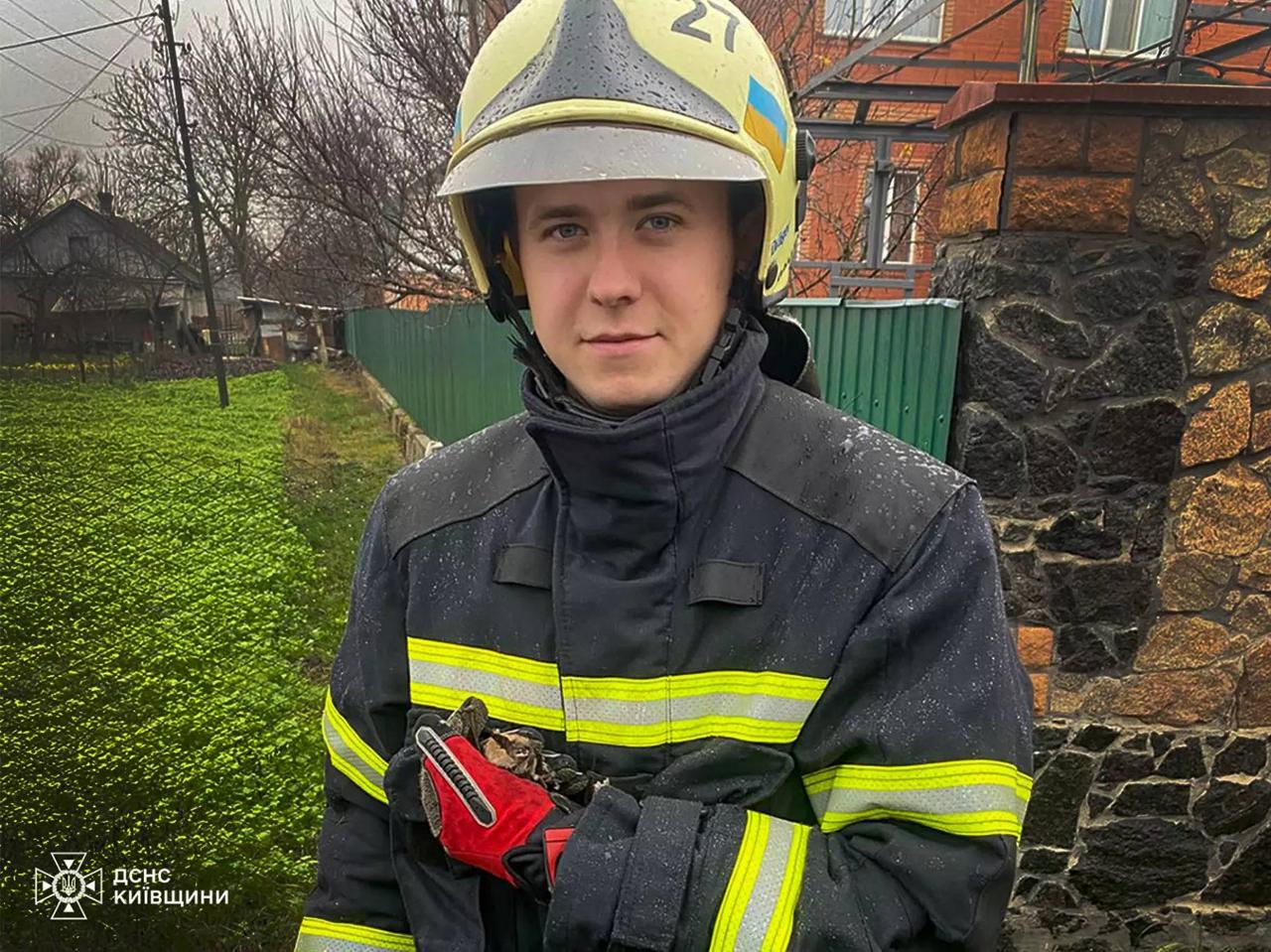 переяслав кажан дснс