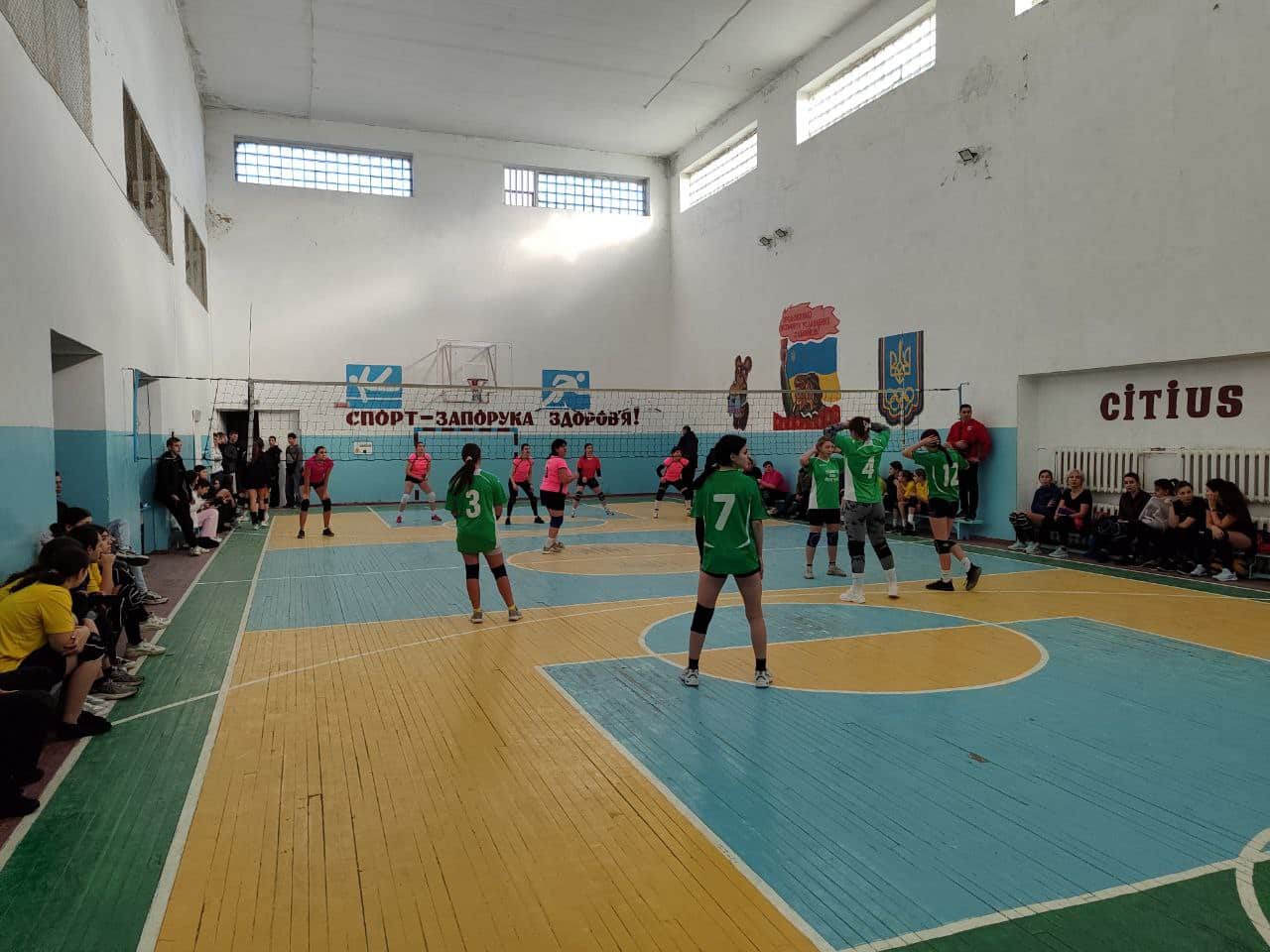 переяслав волейбол